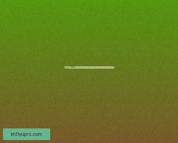 IM体育app下载最新版全面解析畅享极速体验与安全稳定功能优势指南